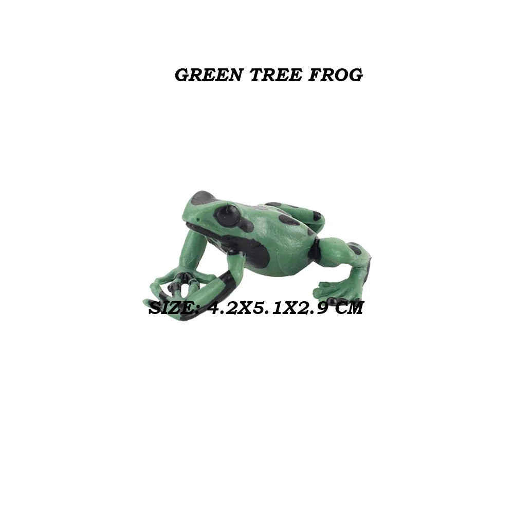 Rainforest Animals Frogs Figurines Tree Frog Rana Bullfrog Squishy Action Figure Toy Animals Figures Children Toys Kids Gifts