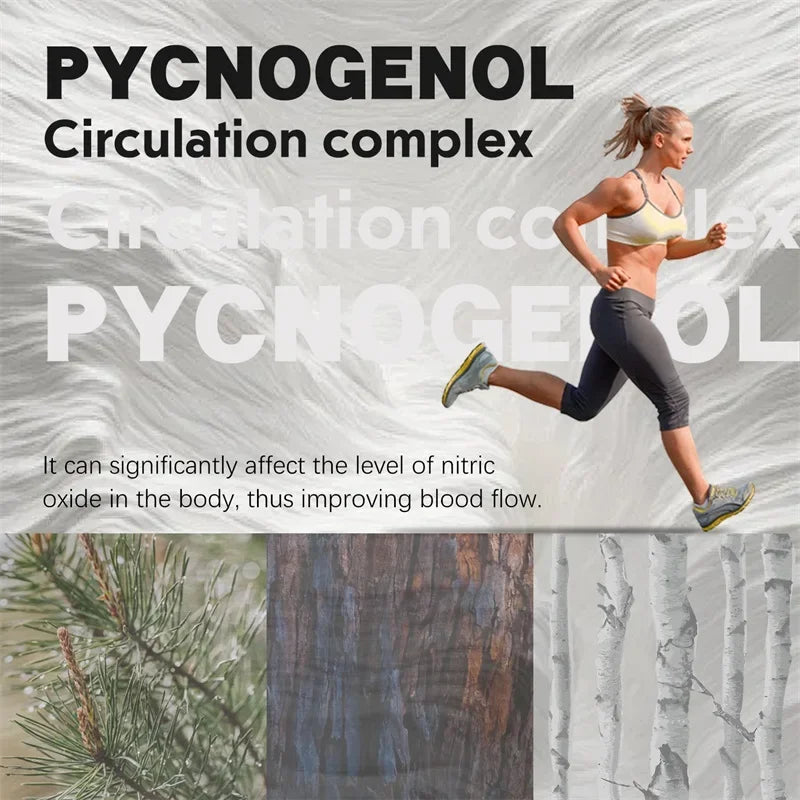 Pycnogenol French Ocean Pine Peel Extract - Improves Blood Flow and Circulation, Antioxidant - Vegetarian, Non GMO Supplement