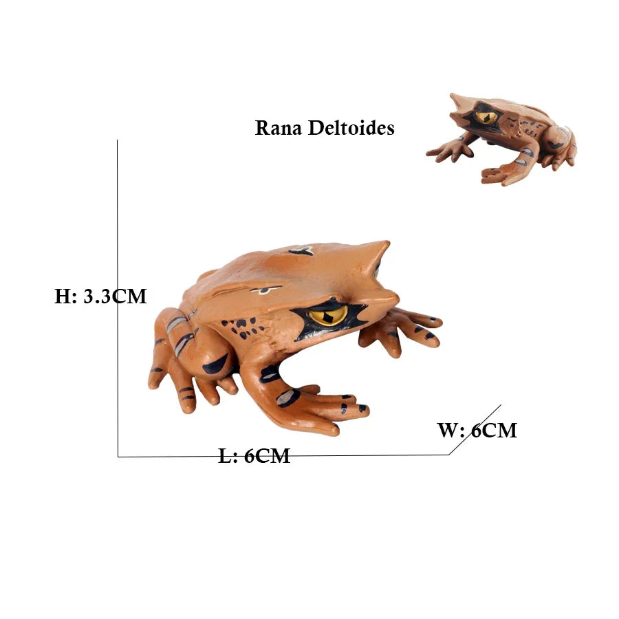 Rainforest Animals Frogs Figurines Tree Frog Rana Bullfrog Squishy Action Figure Toy Animals Figures Children Toys Kids Gifts