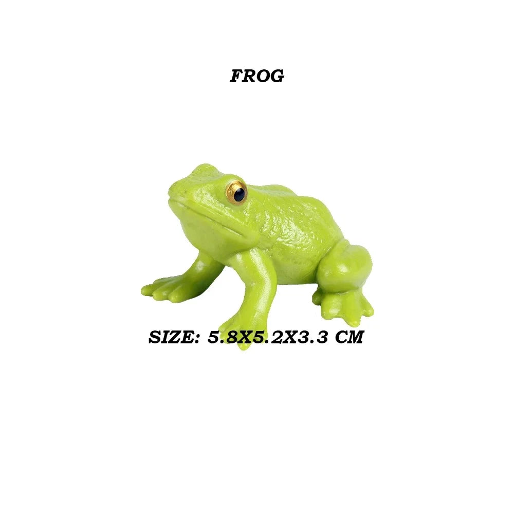 Rainforest Animals Frogs Figurines Tree Frog Rana Bullfrog Squishy Action Figure Toy Animals Figures Children Toys Kids Gifts