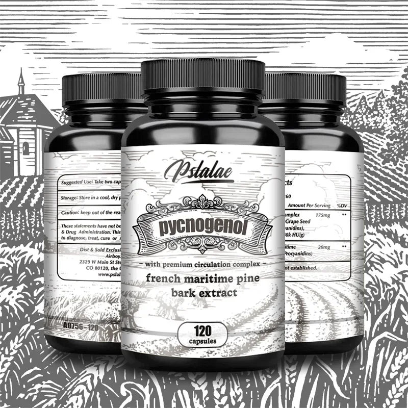 Pycnogenol French Ocean Pine Peel Extract - Improves Blood Flow and Circulation, Antioxidant - Vegetarian, Non GMO Supplement
