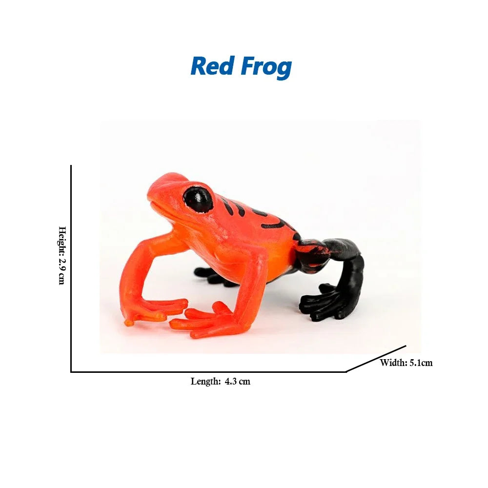 Rainforest Animals Frogs Figurines Tree Frog Rana Bullfrog Squishy Action Figure Toy Animals Figures Children Toys Kids Gifts