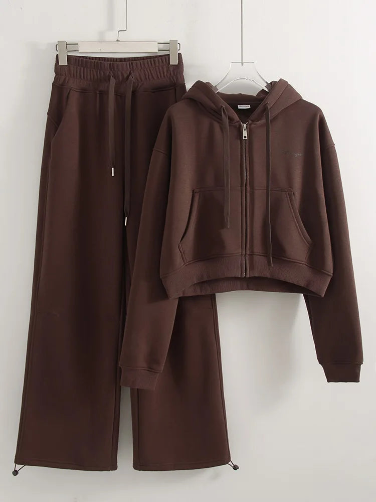 Women Tracksuits Winter Fleece Sweatsuit Brown Warm Crop Zipper Hoodies And Sweatpants Set For Women 2 Piece Velvet Pants Sets