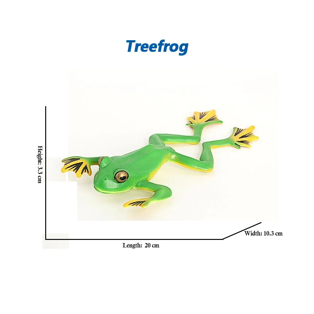 Rainforest Animals Frogs Figurines Tree Frog Rana Bullfrog Squishy Action Figure Toy Animals Figures Children Toys Kids Gifts