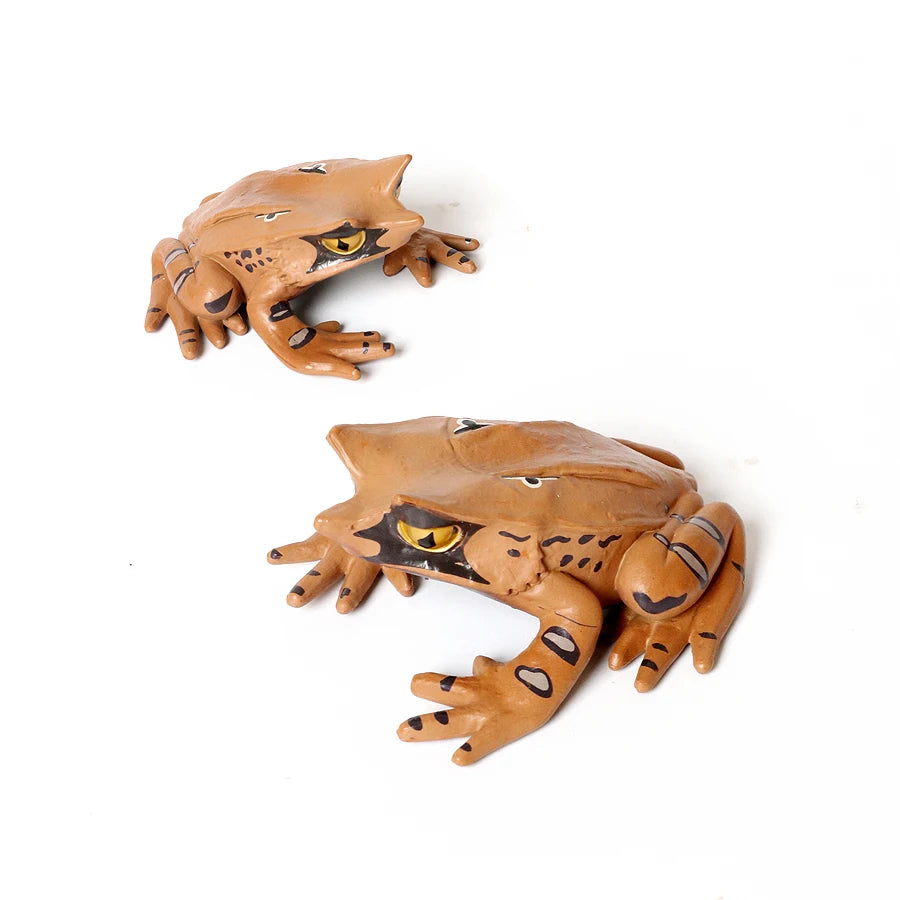 Rainforest Animals Frogs Figurines Tree Frog Rana Bullfrog Squishy Action Figure Toy Animals Figures Children Toys Kids Gifts