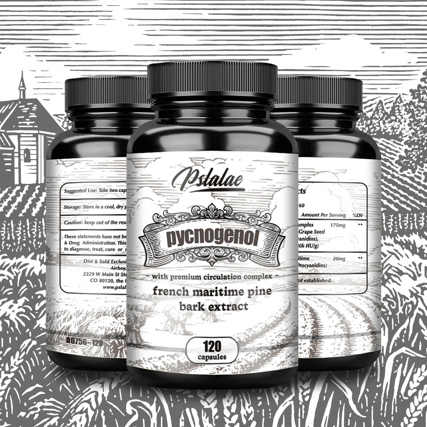 Pycnogenol French Ocean Pine Peel Extract - Improves Blood Flow and Circulation, Antioxidant - Vegetarian, Non GMO Supplement