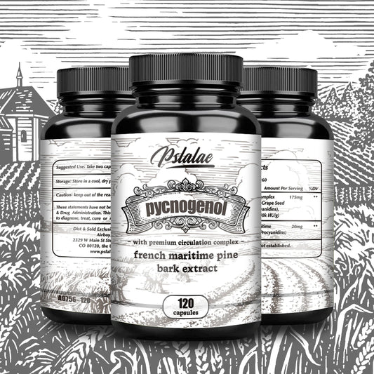 Pycnogenol French Ocean Pine Peel Extract - Improves Blood Flow and Circulation, Antioxidant - Vegetarian, Non GMO Supplement