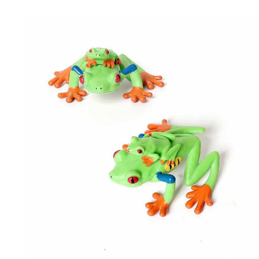 Rainforest Animals Frogs Figurines Tree Frog Rana Bullfrog Squishy Action Figure Toy Animals Figures Children Toys Kids Gifts