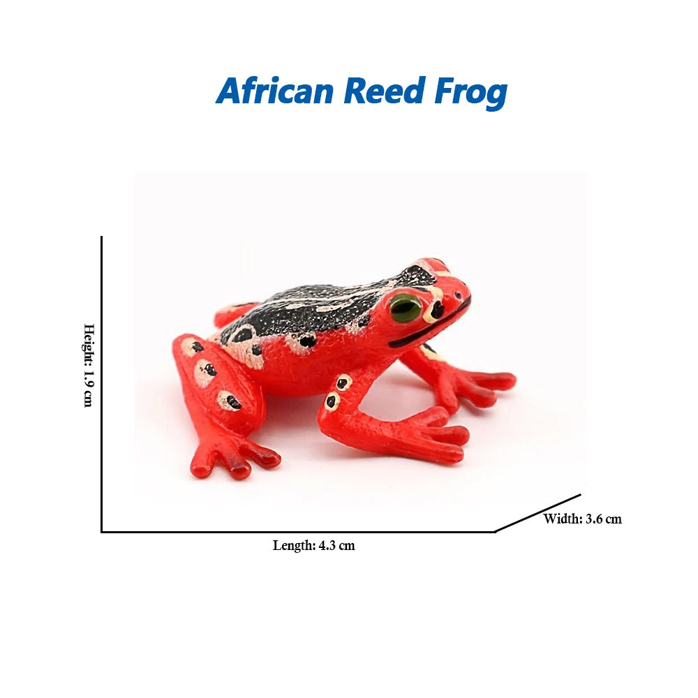 Rainforest Animals Frogs Figurines Tree Frog Rana Bullfrog Squishy Action Figure Toy Animals Figures Children Toys Kids Gifts