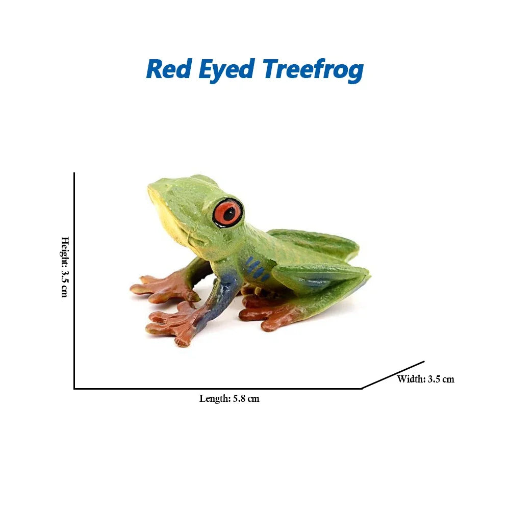 Rainforest Animals Frogs Figurines Tree Frog Rana Bullfrog Squishy Action Figure Toy Animals Figures Children Toys Kids Gifts