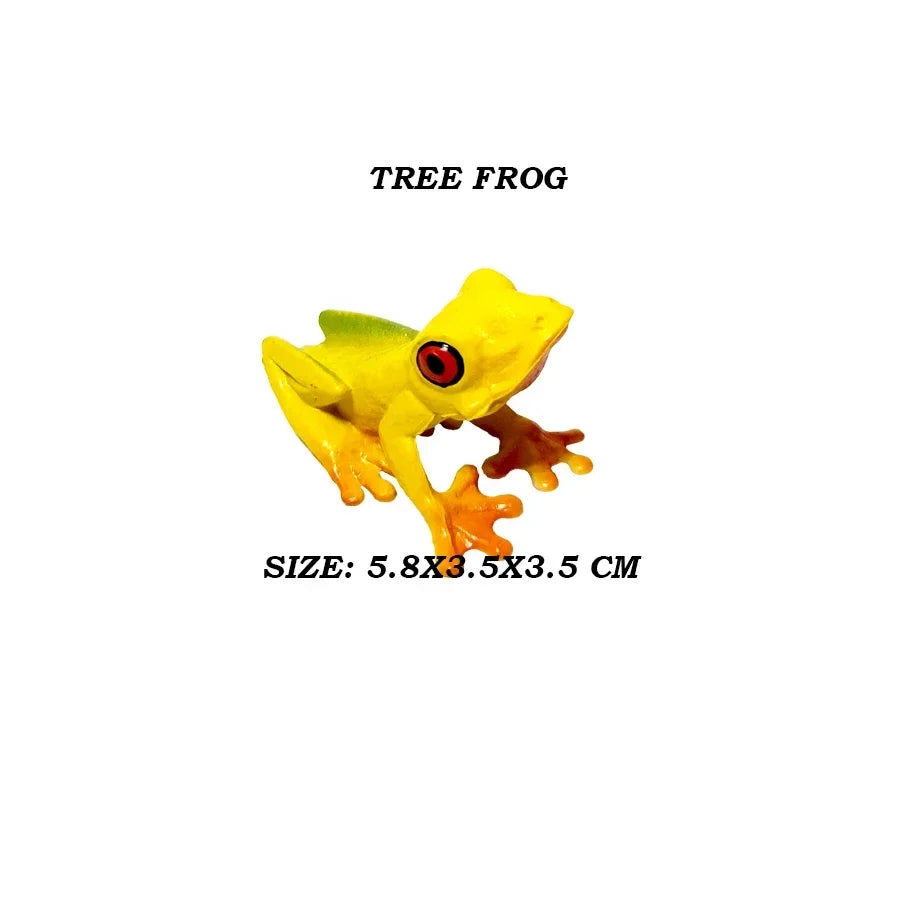 Rainforest Animals Frogs Figurines Tree Frog Rana Bullfrog Squishy Action Figure Toy Animals Figures Children Toys Kids Gifts