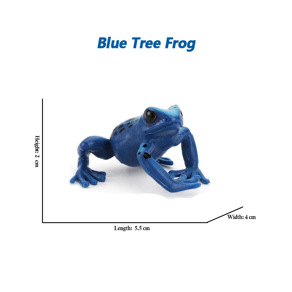 Rainforest Animals Frogs Figurines Tree Frog Rana Bullfrog Squishy Action Figure Toy Animals Figures Children Toys Kids Gifts