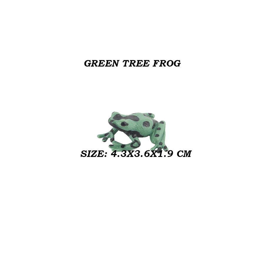 Rainforest Animals Frogs Figurines Tree Frog Rana Bullfrog Squishy Action Figure Toy Animals Figures Children Toys Kids Gifts