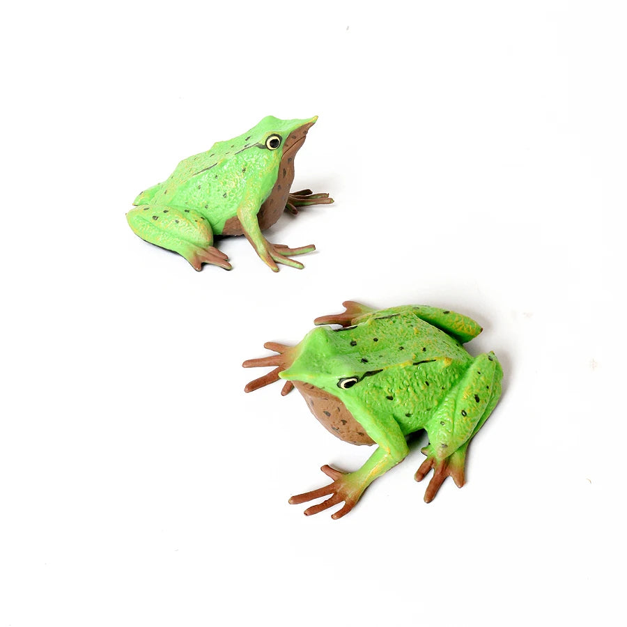 Rainforest Animals Frogs Figurines Tree Frog Rana Bullfrog Squishy Action Figure Toy Animals Figures Children Toys Kids Gifts