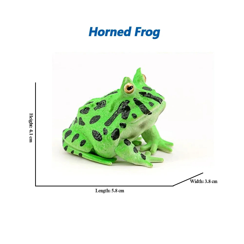 Rainforest Animals Frogs Figurines Tree Frog Rana Bullfrog Squishy Action Figure Toy Animals Figures Children Toys Kids Gifts