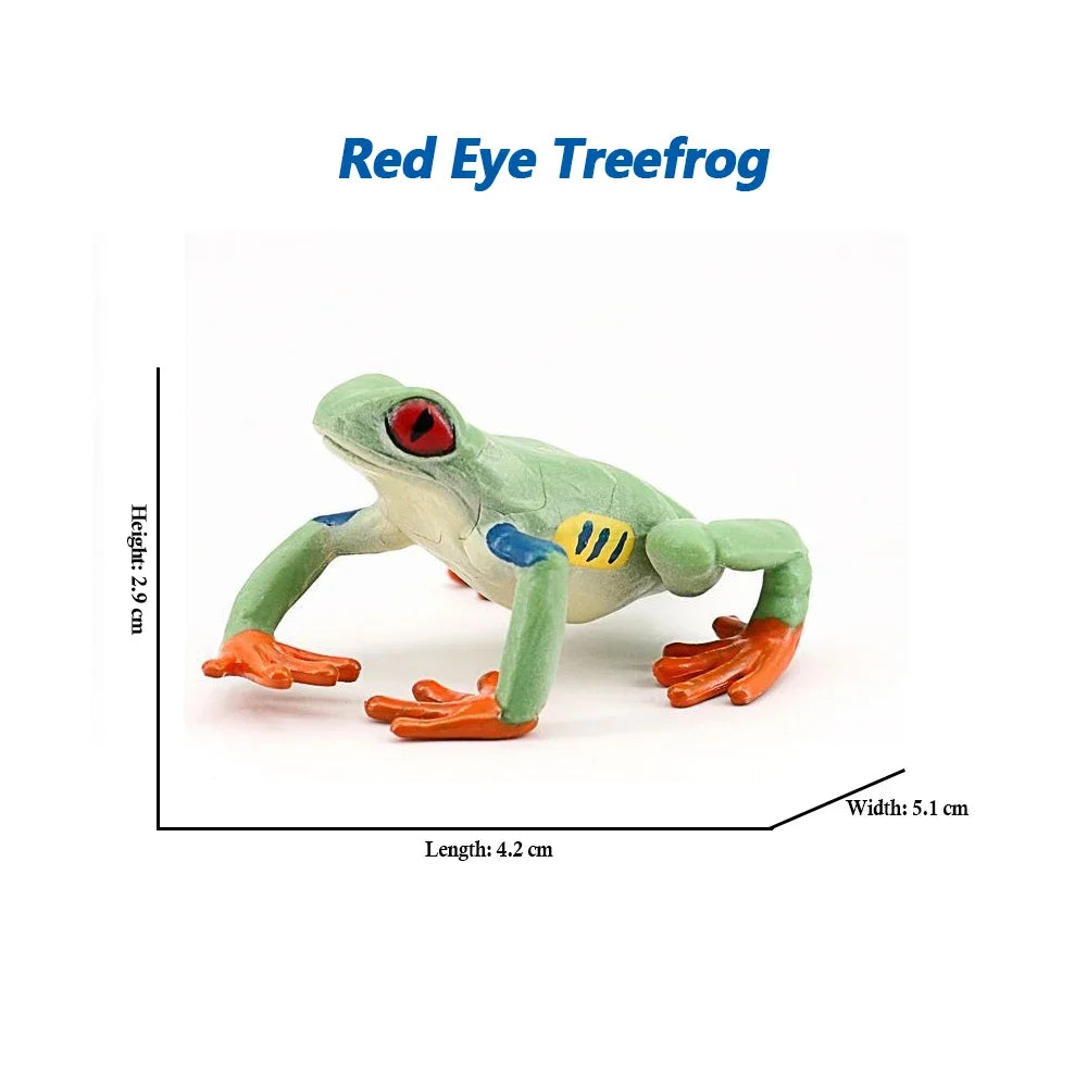 Rainforest Animals Frogs Figurines Tree Frog Rana Bullfrog Squishy Action Figure Toy Animals Figures Children Toys Kids Gifts