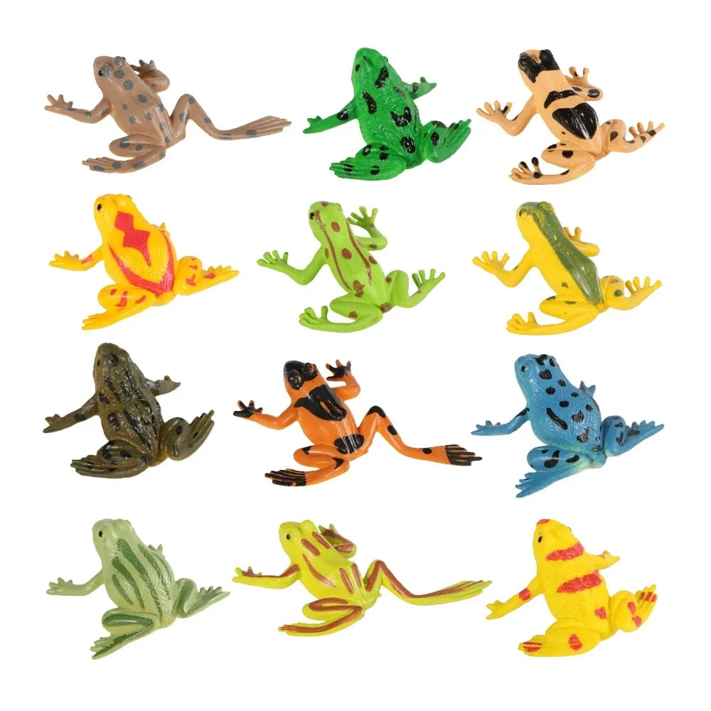 Rainforest Animals Frogs Figurines Tree Frog Rana Bullfrog Squishy Action Figure Toy Animals Figures Children Toys Kids Gifts