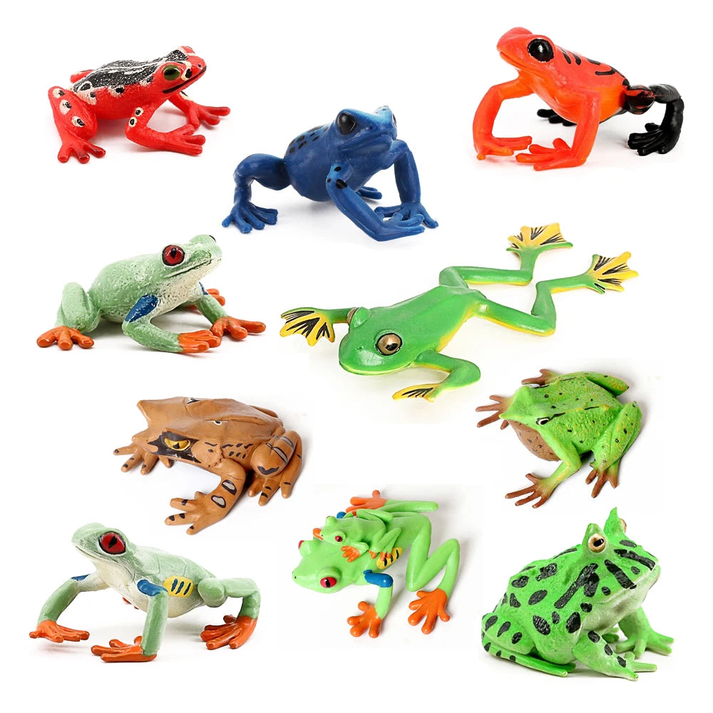 Rainforest Animals Frogs Figurines Tree Frog Rana Bullfrog Squishy Action Figure Toy Animals Figures Children Toys Kids Gifts