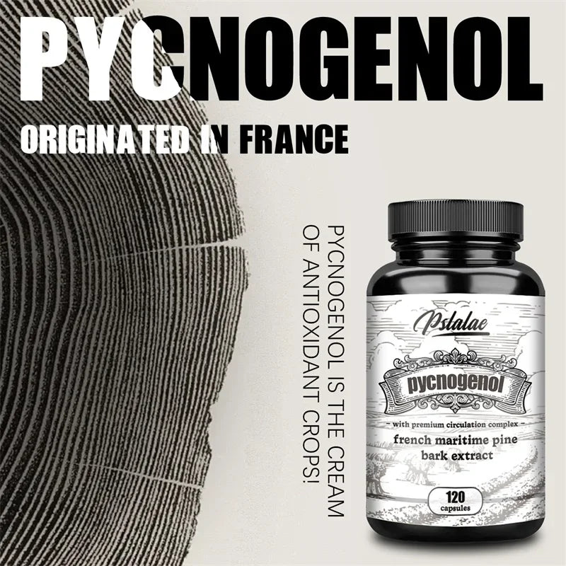 Pycnogenol French Ocean Pine Peel Extract - Improves Blood Flow and Circulation, Antioxidant - Vegetarian, Non GMO Supplement