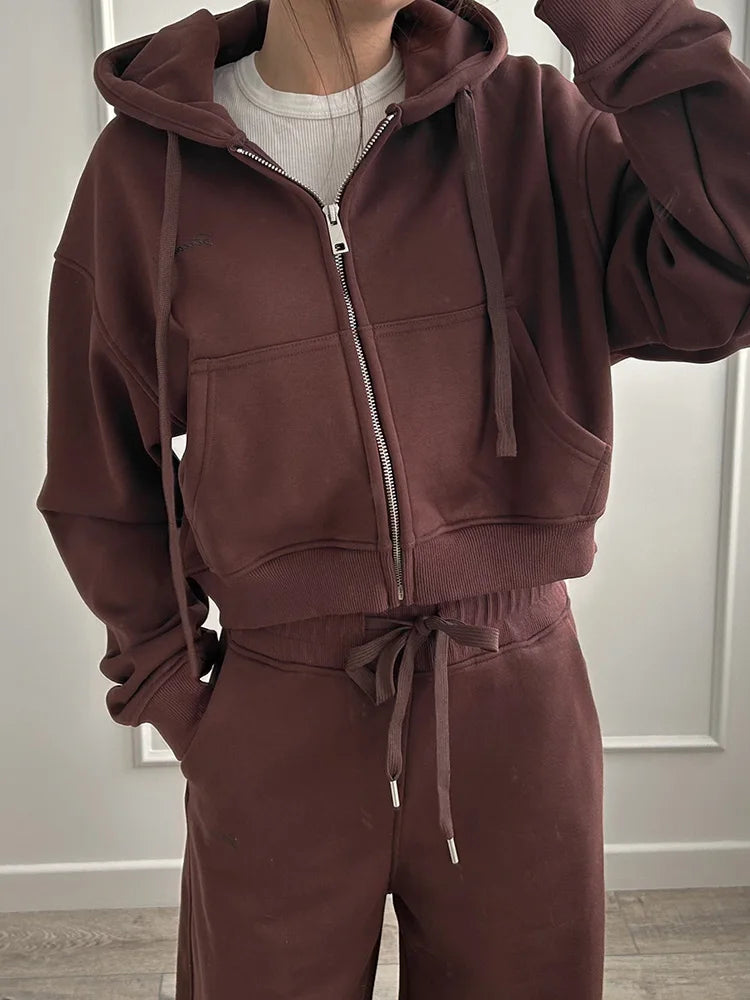Women Tracksuits Winter Fleece Sweatsuit Brown Warm Crop Zipper Hoodies And Sweatpants Set For Women 2 Piece Velvet Pants Sets