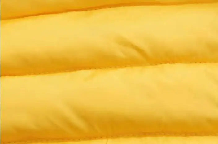 Kids Jackets+Pants Sets 2pcs Winter Autumn Boys Hooded Coat Warm Pants Girls Jacket Toddler Infant Clothes Suit Children Costume