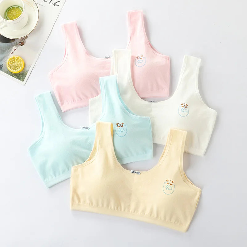 Underwear for Female Primary School Students 8-9-12-16 Years Old Small Vest Cotton Girl Junior High School Student Anti-Bump Bra