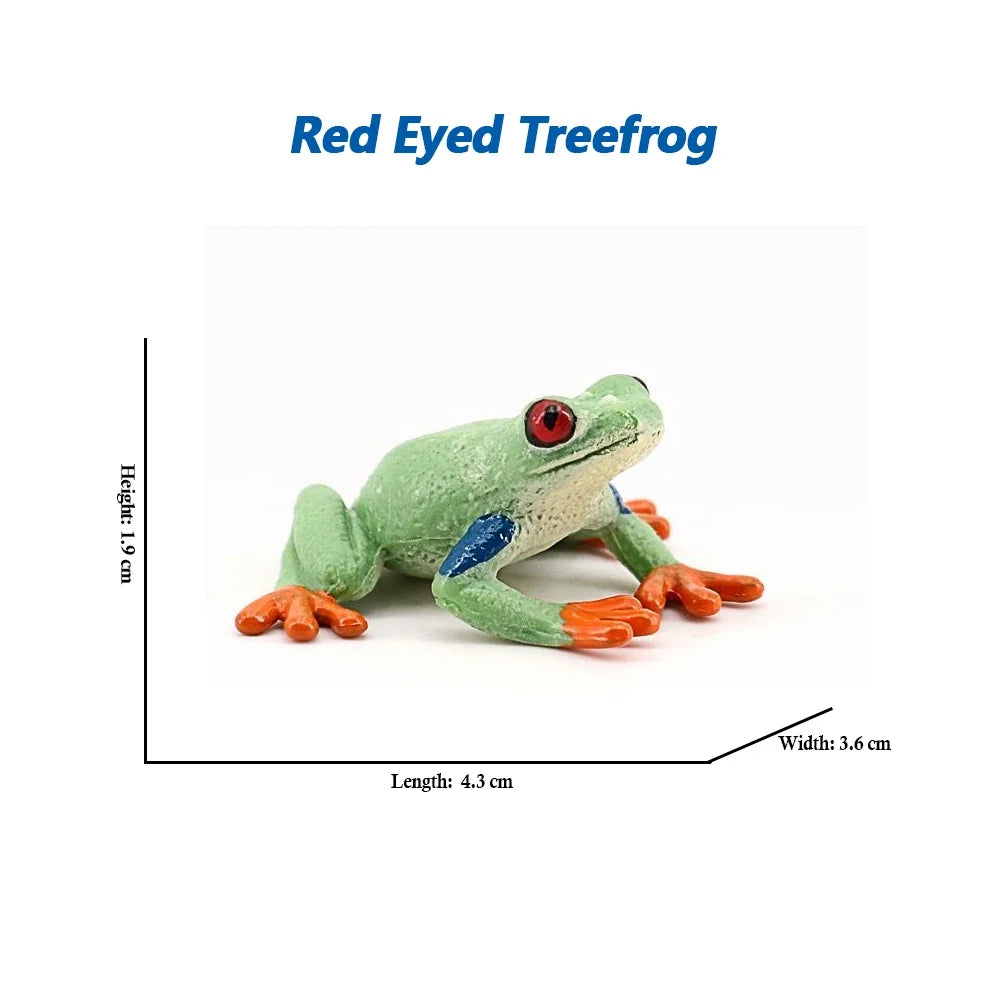 Rainforest Animals Frogs Figurines Tree Frog Rana Bullfrog Squishy Action Figure Toy Animals Figures Children Toys Kids Gifts
