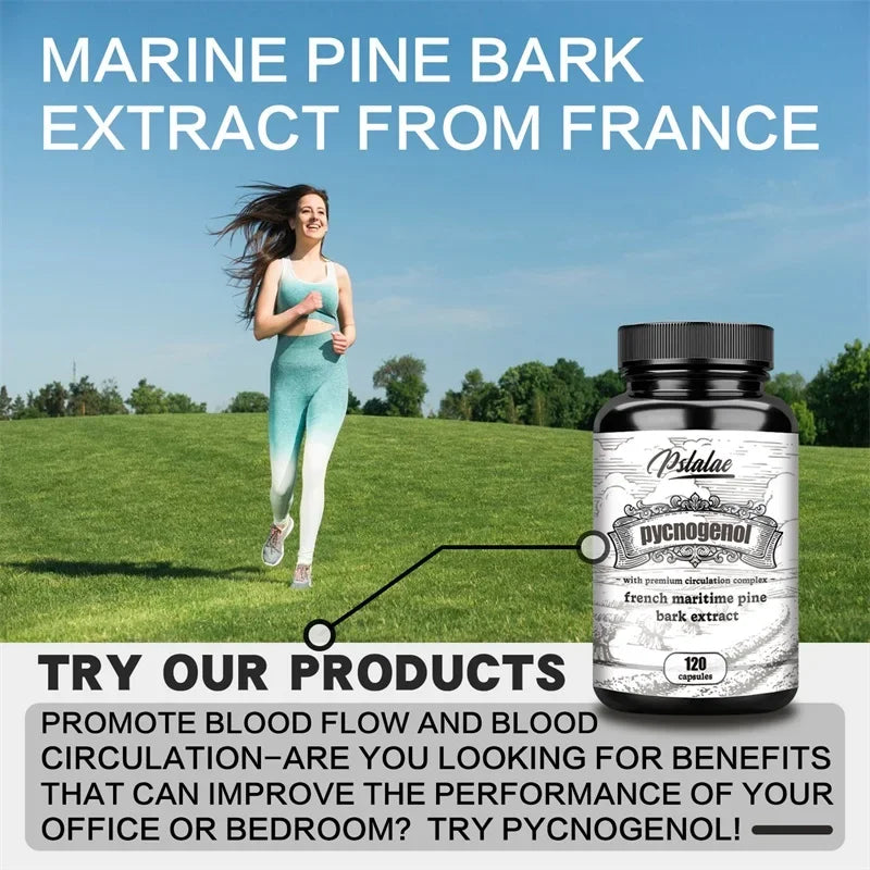 Pycnogenol French Ocean Pine Peel Extract - Improves Blood Flow and Circulation, Antioxidant - Vegetarian, Non GMO Supplement