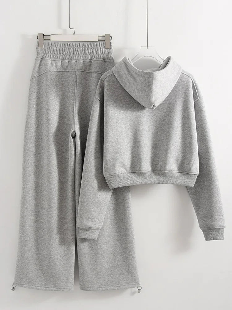 Women Tracksuits Winter Fleece Sweatsuit Brown Warm Crop Zipper Hoodies And Sweatpants Set For Women 2 Piece Velvet Pants Sets