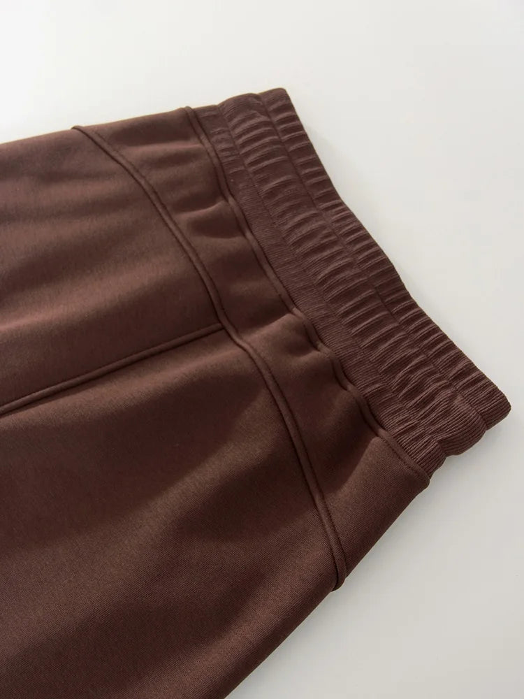 Women Tracksuits Winter Fleece Sweatsuit Brown Warm Crop Zipper Hoodies And Sweatpants Set For Women 2 Piece Velvet Pants Sets