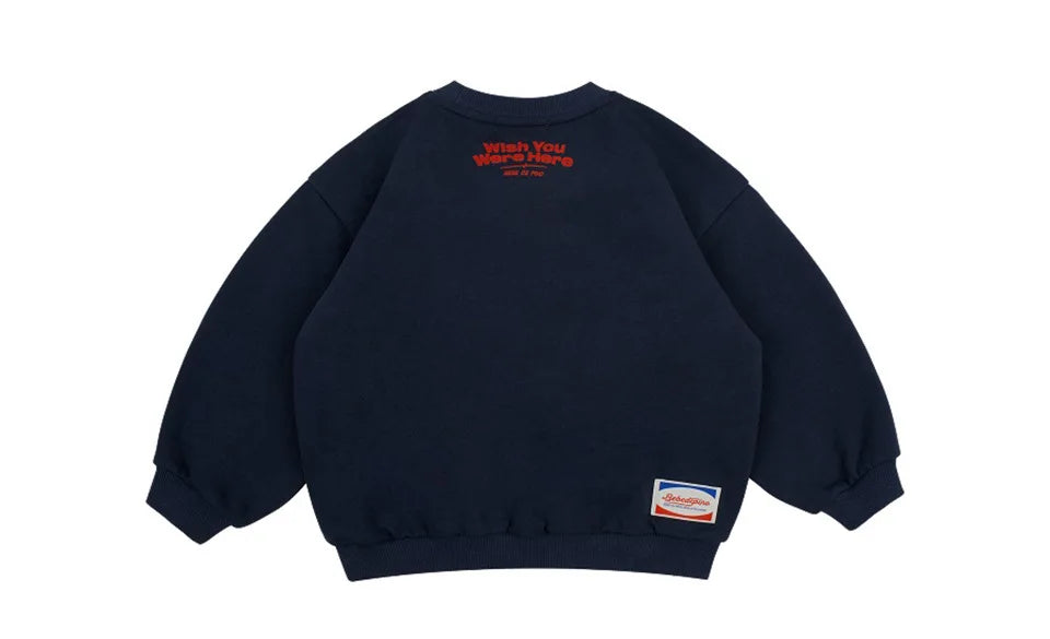 Autumn Kids Clothes Baby Girls hooded Jackets Cotton Sweatshirts Pants Sets Baby Boys Cartoon Coats Pullover Top Trousers Suits