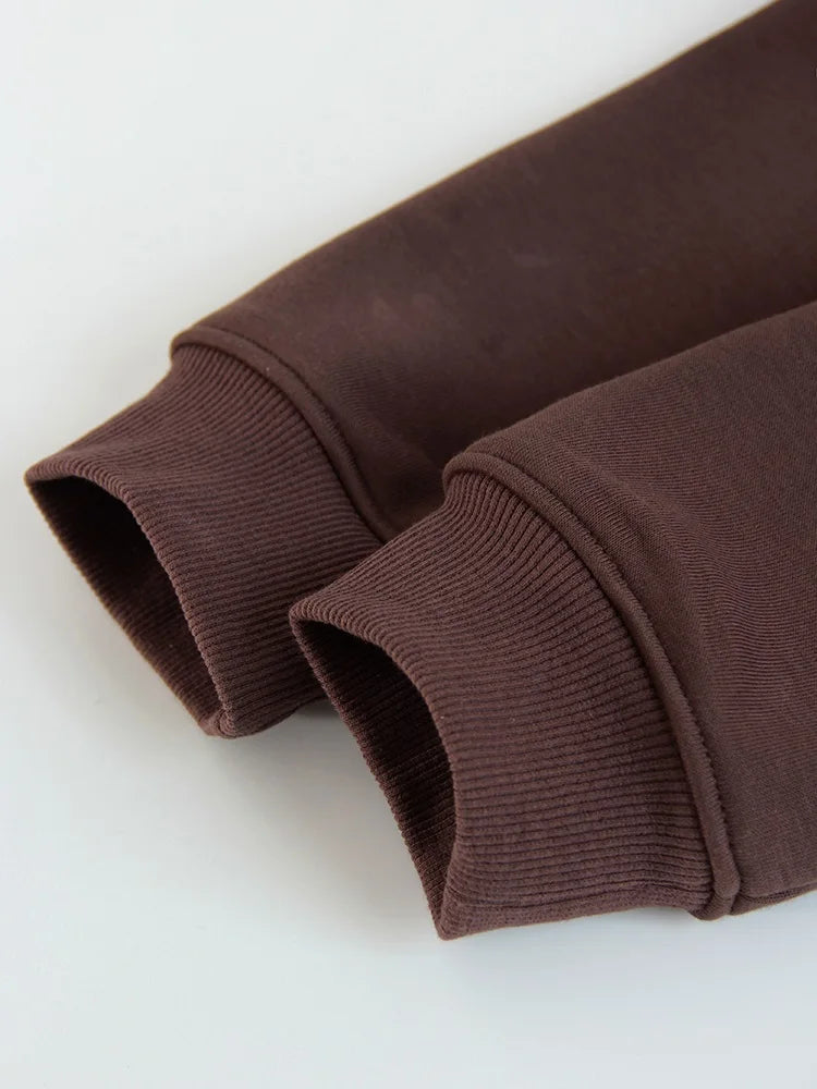 Women Tracksuits Winter Fleece Sweatsuit Brown Warm Crop Zipper Hoodies And Sweatpants Set For Women 2 Piece Velvet Pants Sets