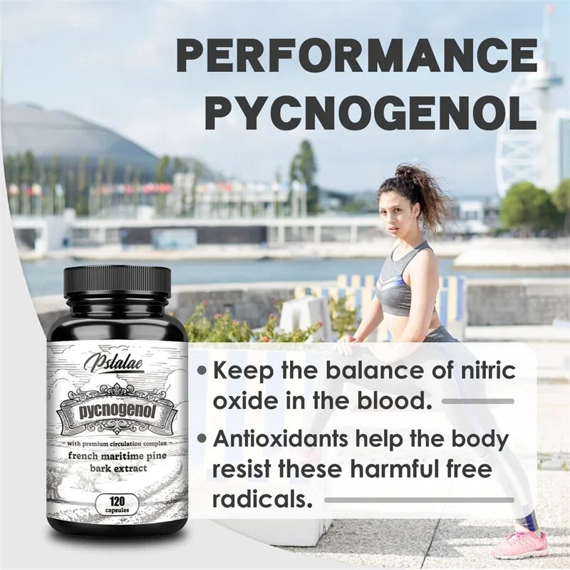 Pycnogenol French Ocean Pine Peel Extract - Improves Blood Flow and Circulation, Antioxidant - Vegetarian, Non GMO Supplement